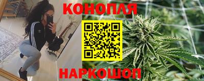 apvp Лесосибирск