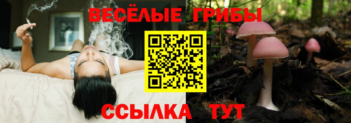 Псилоцибиновые грибы MAGIC MUSHROOMS Аксай